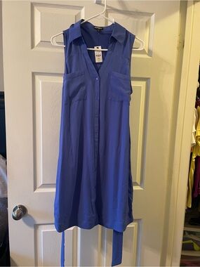 Express Sleeveless Button-Down Dress in Blue